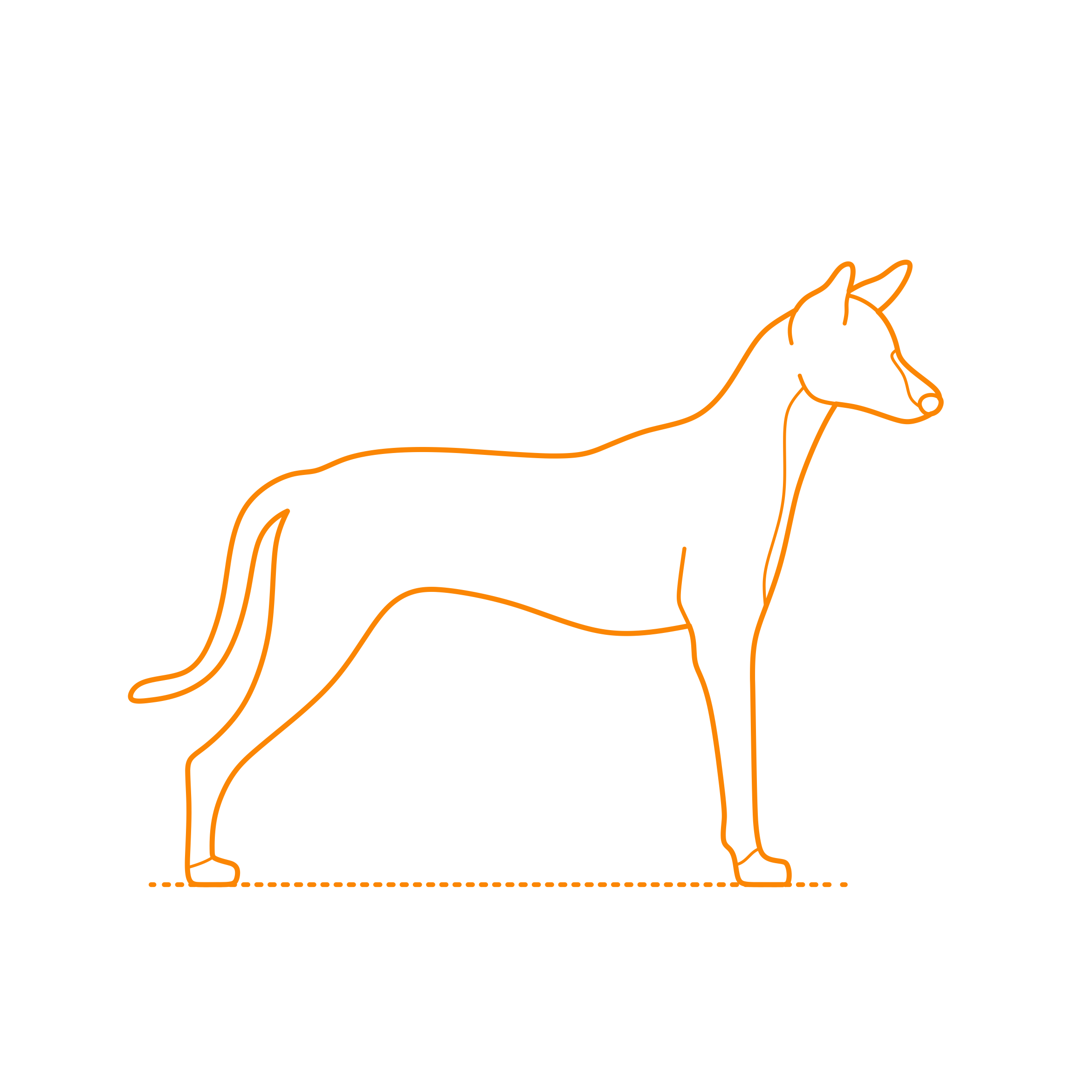 Animals Dogs Portuguese Podengo Laser Cut Svg File Free Vectors